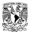 UNAM