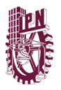 Instituto Politécnico Nacional